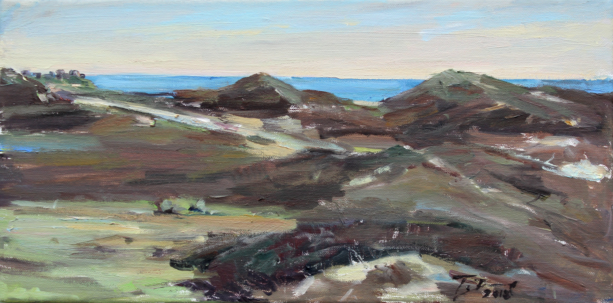 Sylt Wanderduenenblick 3 Tobias Duwe