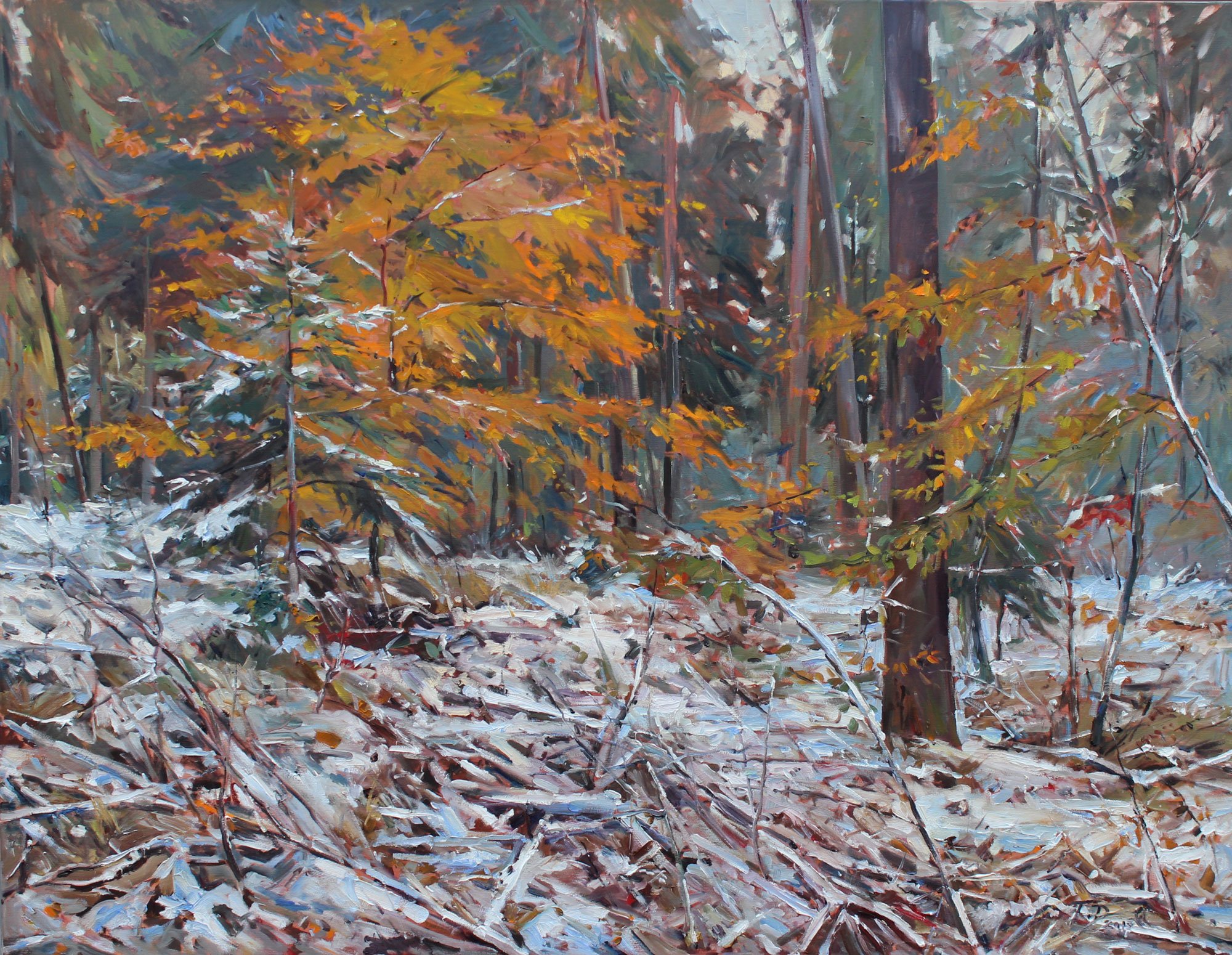 Winterglut Tobias Duwe