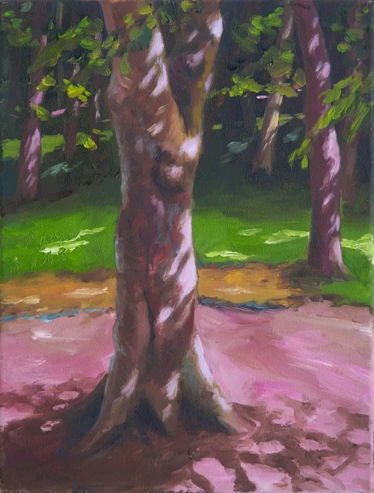 Hermann Reimer – Nussbaum (40x30cm) 2018