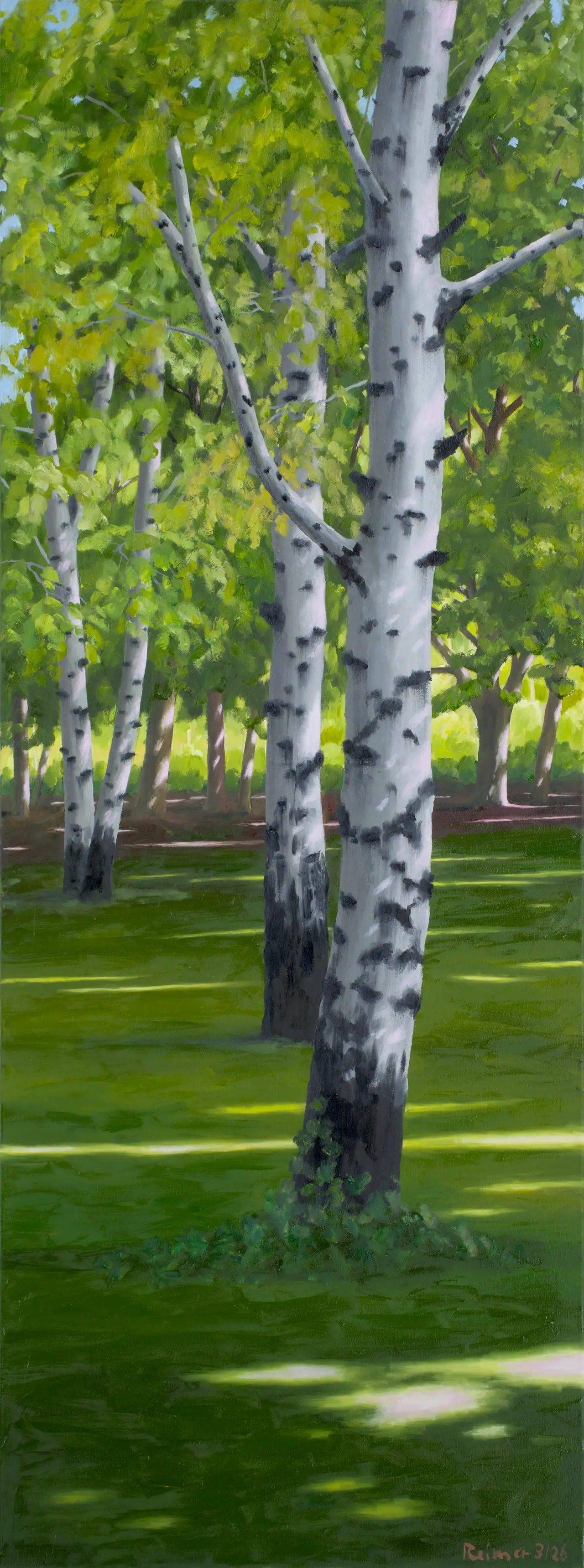 Hermann Reimer – Zwei Birken (160x50cm) 2026