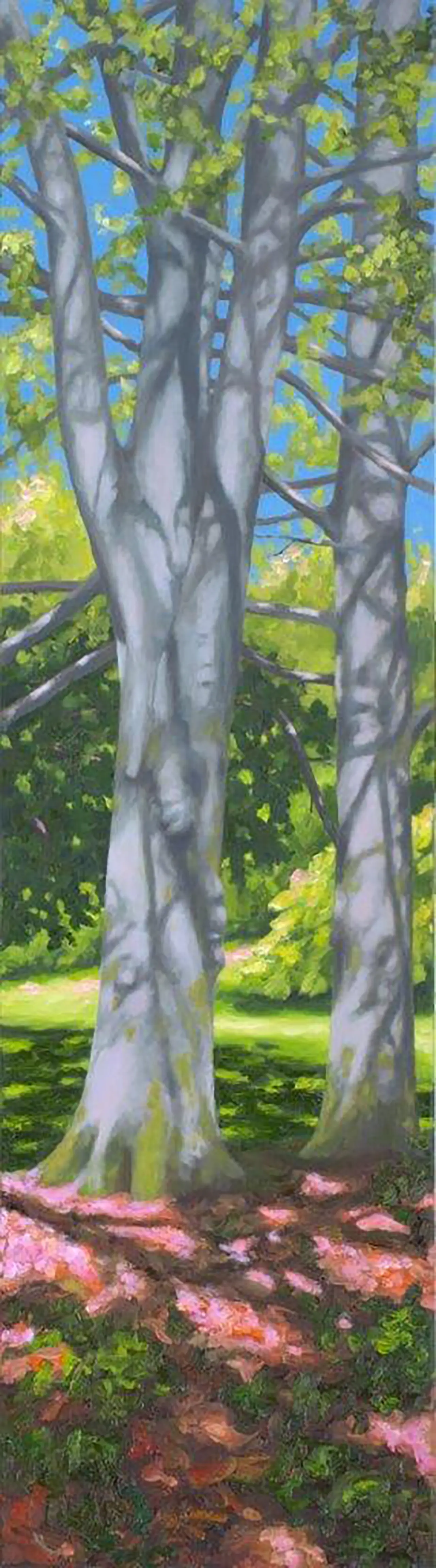 Hermann Reimer – Zwei Buchen (180x50cm) 2025