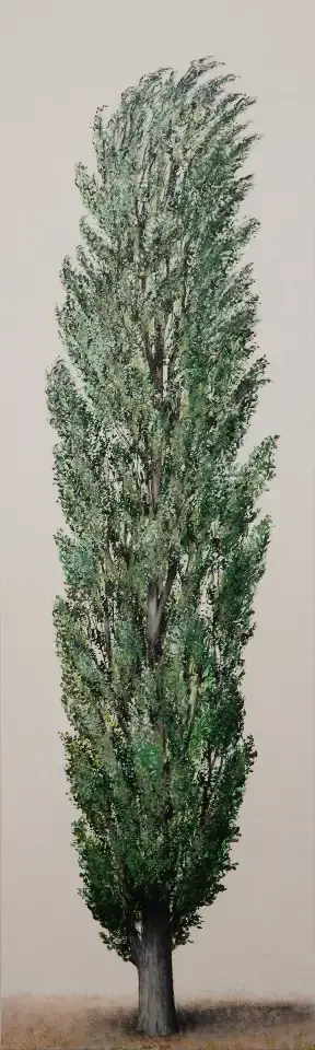 Pappel V, 165x50cm