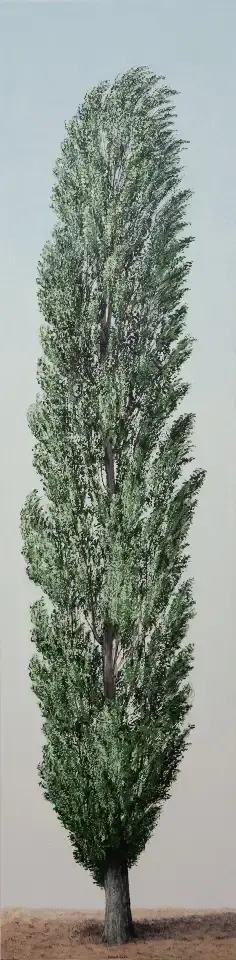 Pappel im Wind, 200x50cm